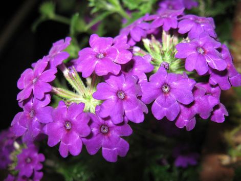 0000000000000000000.jpg 0000000000000000000.jpg