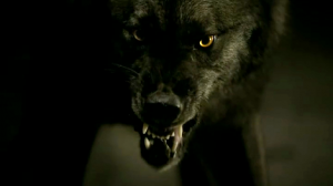 0000000000000000000000000000000000000.png 0000000000000000000000000000000000000.png